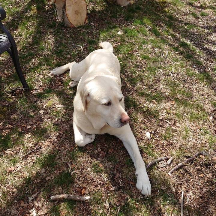 D6db9d9a 7599 42da 8dc8 1796e9c3484b 1682685829372