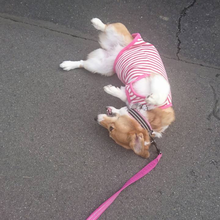 D6dbcc85 cb97 4d5c 8a75 15615d4a0246 1541557099939