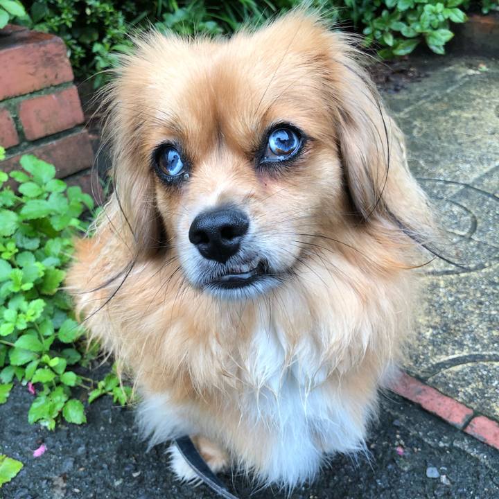 D6dbd62f 625e 4fa6 9664 248115e09012 1567209125413