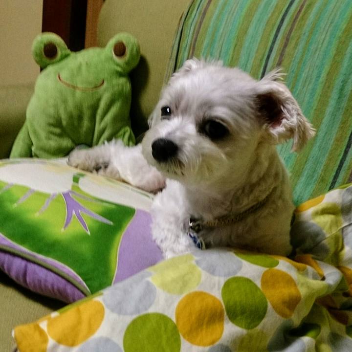 D6dbf831 192e 4cf6 9eac 75d9baf3719e 1528629839901