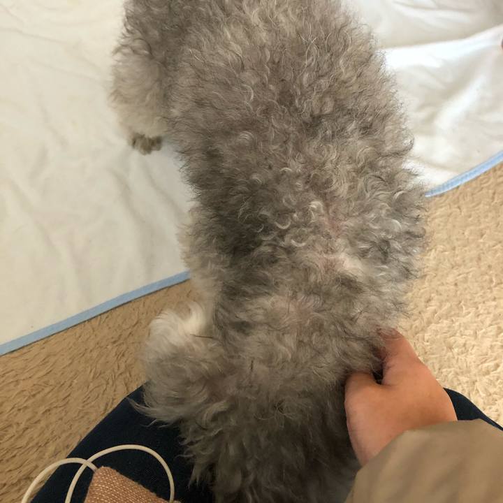 D6dbfca4 fe5b 4242 a4d0 e9ac250a1807 1582758719977