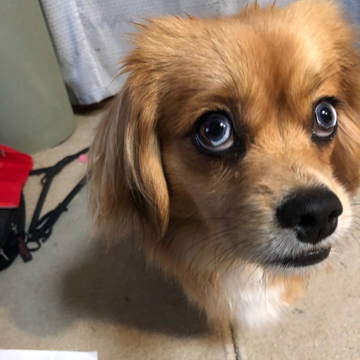 D6dc4f8b f4c7 4f66 82c9 6fac0822c386 1523745441372