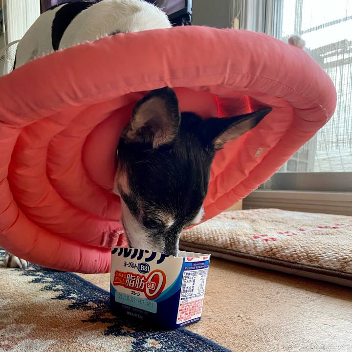 D6dc6f28 ea02 4e20 9f93 ff23d824a899 1632954179477