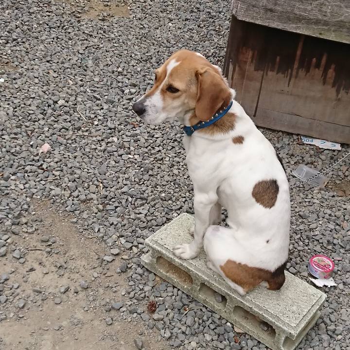 D6dca484 ee64 4b59 b267 9288ceec7de5 1560229489161