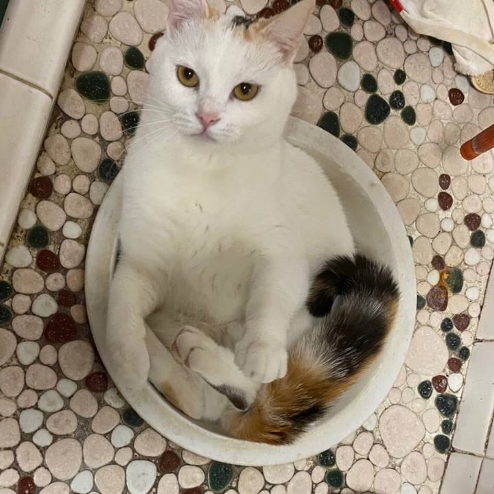 D6dd027c 226c 41d7 9810 863e707b691e 1620131385762