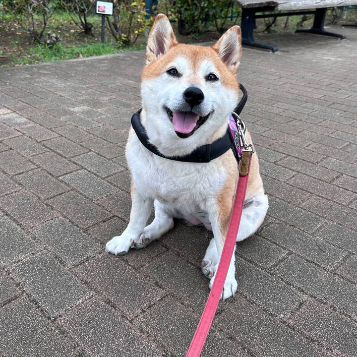 D6dd0e92 6b64 43c8 b208 19d8dc226732 1727694762883