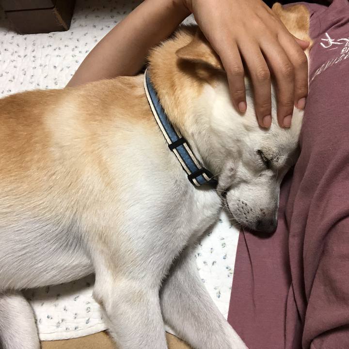 D6dd3b80 8f65 40a7 b4b3 192c114e7589 1630582994670