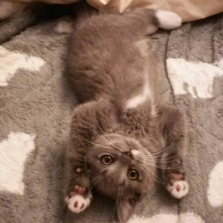 D6dd3cd2 6663 4483 973b 3b99083fe846 1531002034332