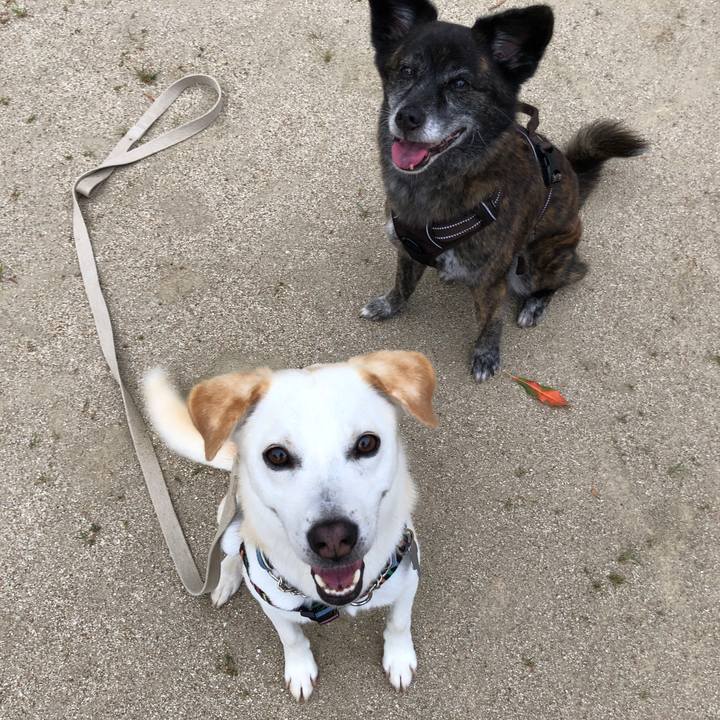 D6dd695b b2e4 4fee 8ccc e72a76218521 1630398040644