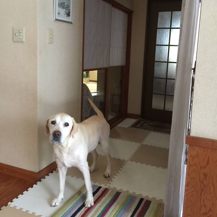 D6dd9a03 bee9 4f7e 8b57 22b1468a2fba 1582626573476