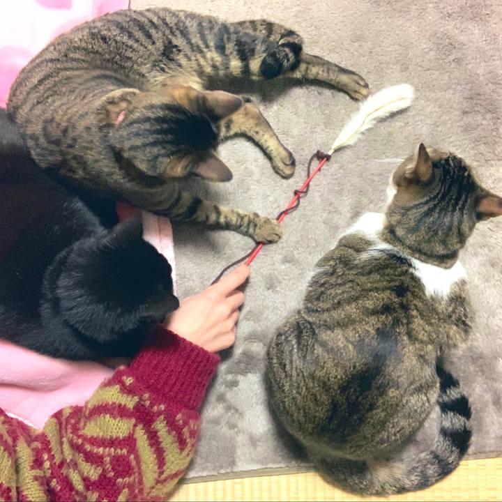 D6ddc25e c615 4e40 8178 cf2d6b245237 1548763769582