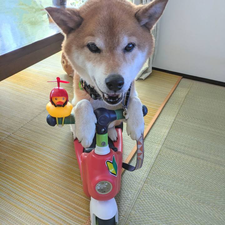 D6ddcc07 3adb 463f a0ff 0537b1022c54 1750733691143