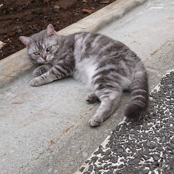 D6ddd8ab ff43 4524 97a3 81fa9181a917 1532841966746