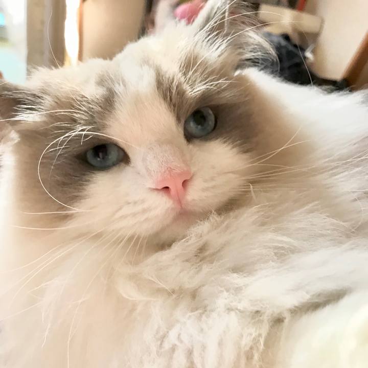 D6de999c 84bb 4142 8780 3f4406f94491 1578957582744