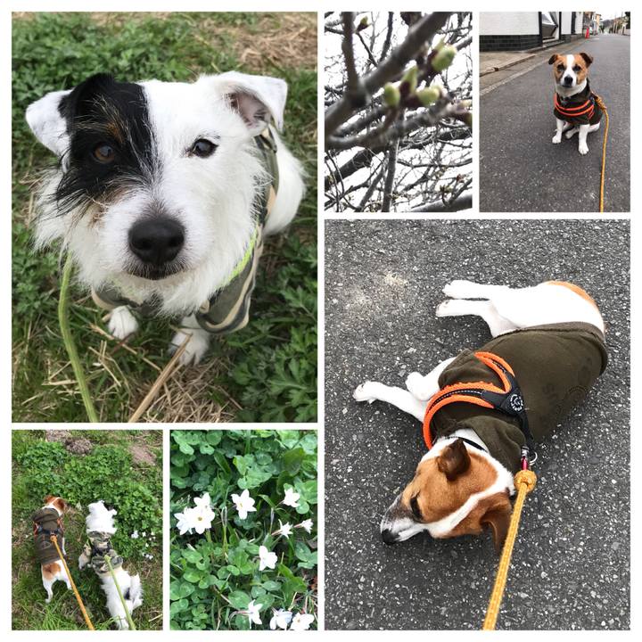 D6ded1a0 c0b0 41e1 b524 f0f31c26e14e 1521421209161