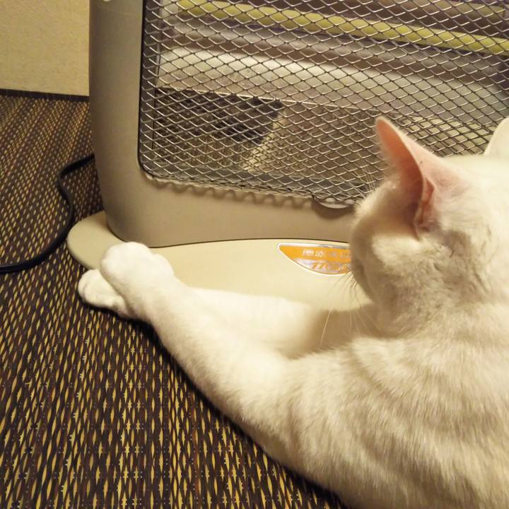 D6deef79 4d65 4377 9f93 15fb39918711 1578054222502