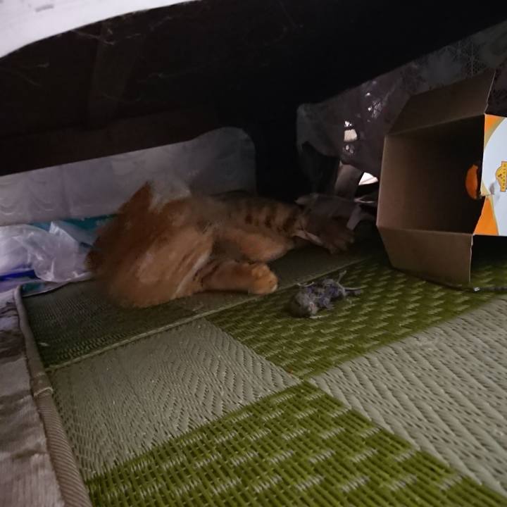 D6def3d4 8c73 41dd b5c4 6fcb0998834a 1646257484939