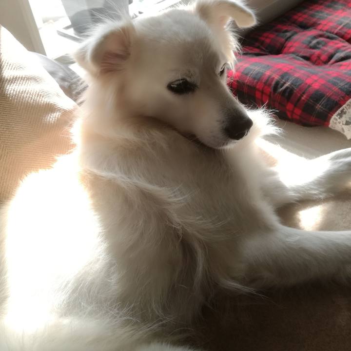 D6df06d7 f423 41b4 9579 bff3298dfec2 1510287585600