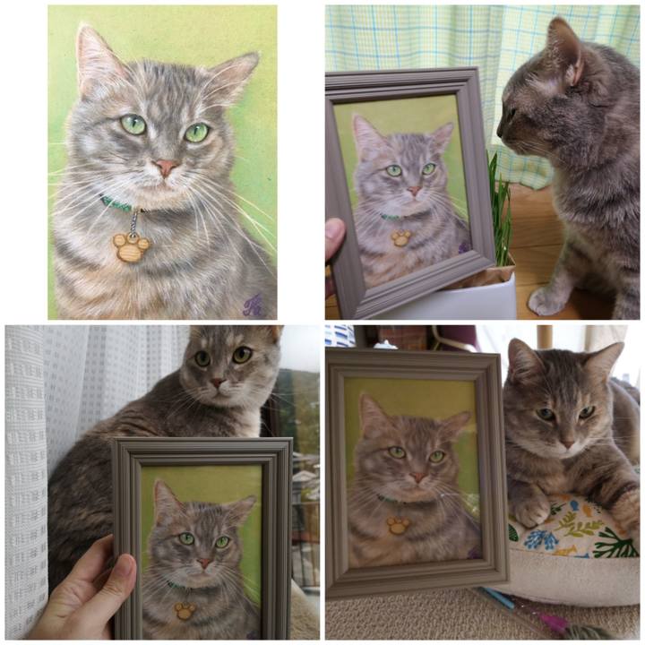 D6df2010 7d03 4cfc b2d8 4c323f68c883 1594515094512