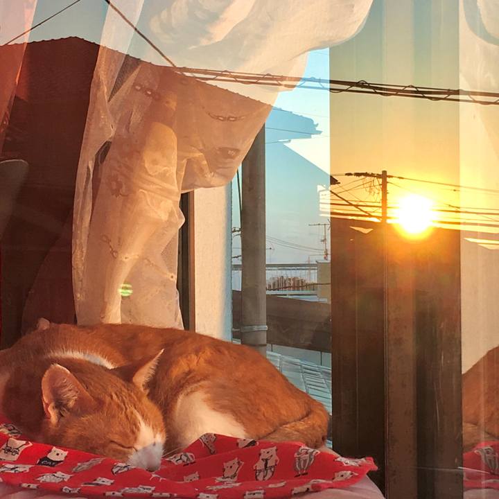 D6df230c 8b43 4ae5 a4ad 6bdf8d2e312b 1577954862108