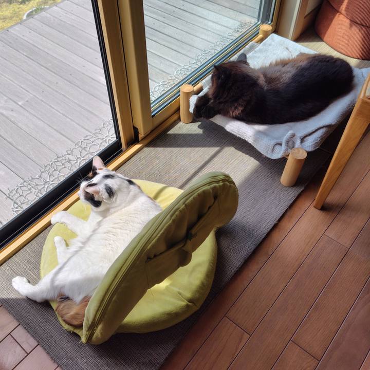 D6df3d8a 8901 4b83 8fe7 20f97dfc9113 1715737647228