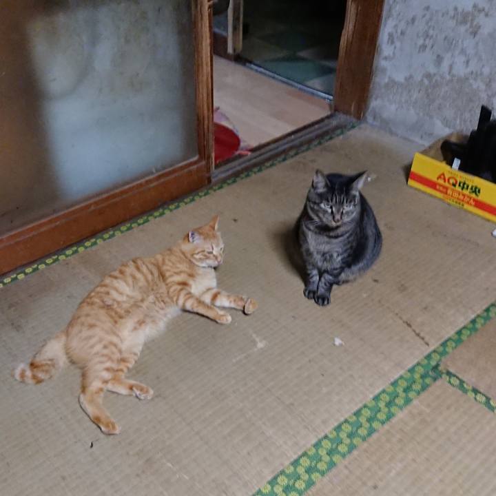 D6df43df 5c97 4985 aeda 36e49bdf1eb3 1661765551030