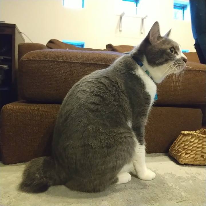 D6dfaa19 bac2 443c ade2 a8c227004468 1627595696331