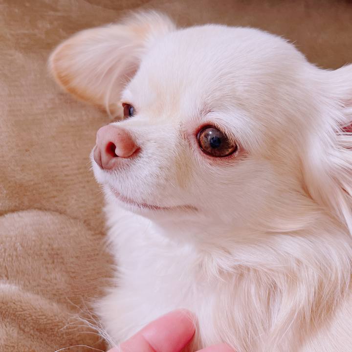 D6dfaa4a ee43 4874 b7b8 281888d6c1dd 1677724135283