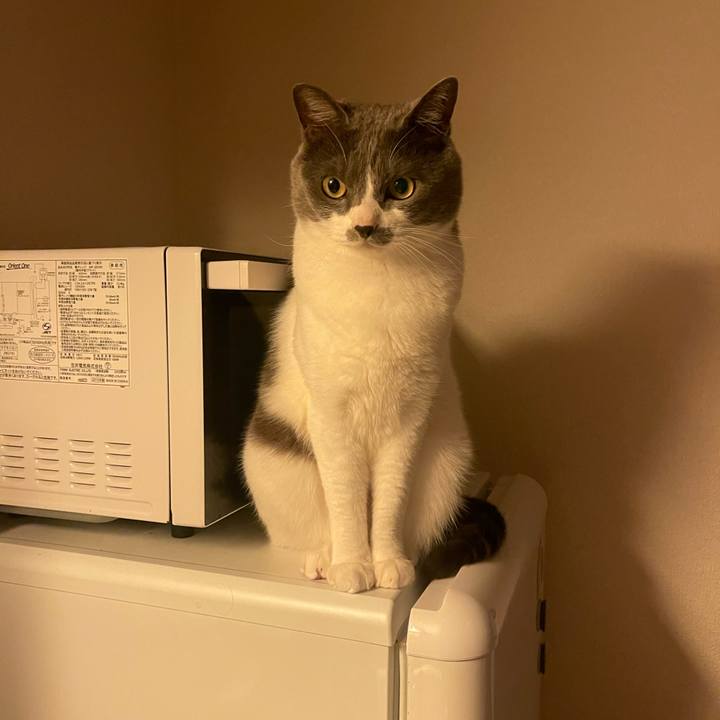 D6dfb62f eda9 44e1 ab45 9165e197df9a 1683628398753