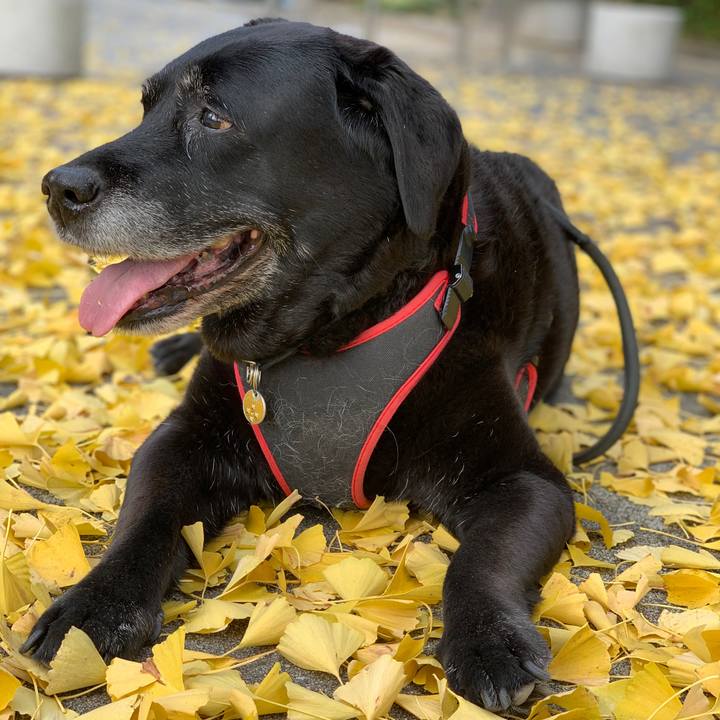 D6dfd1e4 b3d7 4320 9c19 21796986587c 1605506573135