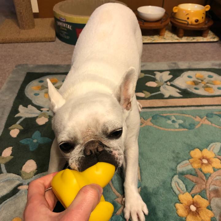 D6dfd4e8 613d 467b 8395 e5b5c6ef2f26 1651398489964