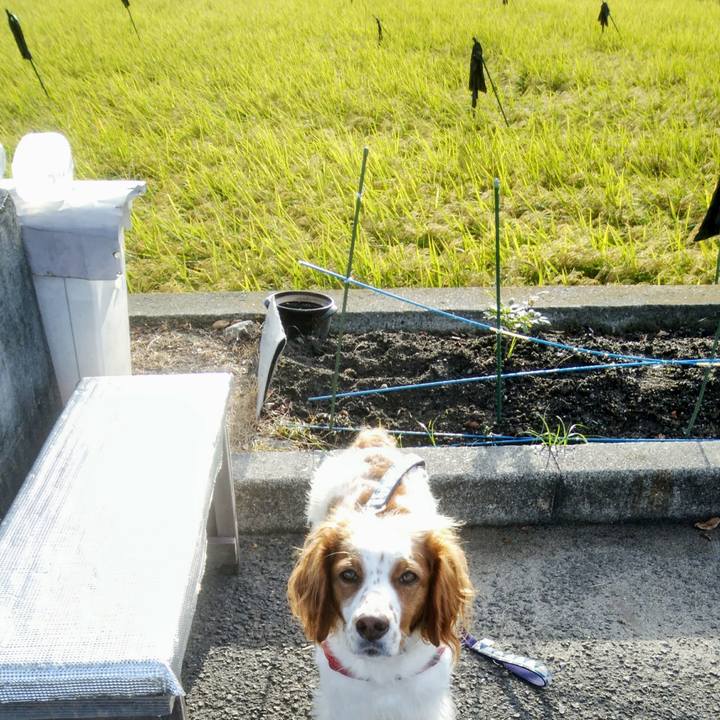 D6dfd7cd 3d23 44cc a751 698438b67958 1537920711253