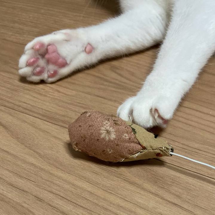 D6e013cf c850 4860 ab88 669c17835549 1575893963919