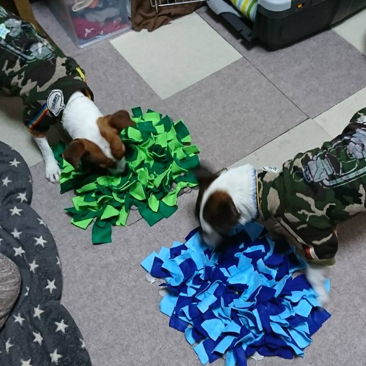 D6e05f4e 3e80 4770 bf0d 88946d5ca2dc 1615608861929