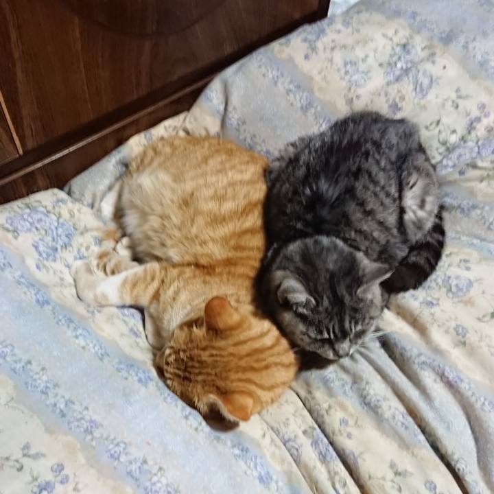 D6e0735f e3bb 497a 8234 91c8dd302e0d 1582113589951