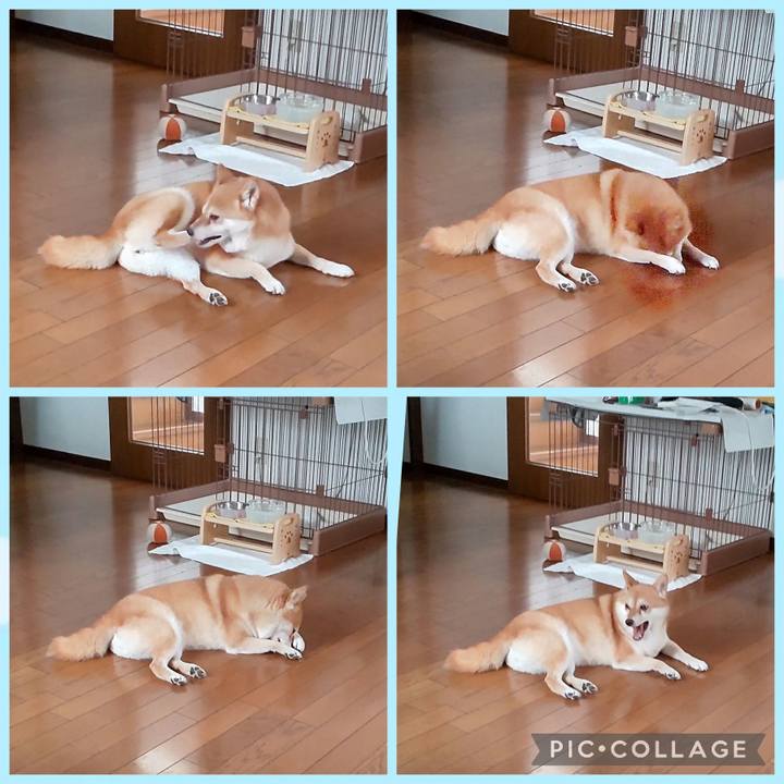 D6e09dab b255 413e bb94 740f9828922b 1756087093412