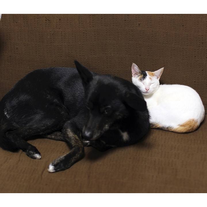 D6e0b45f 9063 4b2d abe1 f5337ca05901 1553168461020