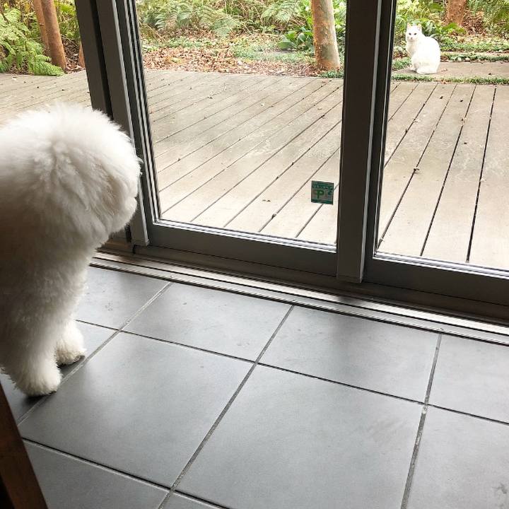 D6e0fbae c211 4ca2 8c7f 65da91e29c91 1520747901736