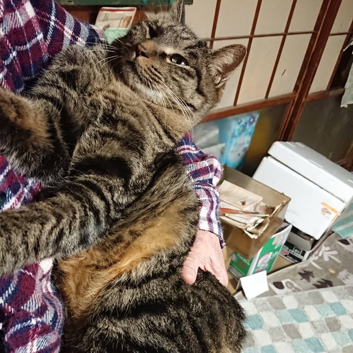 D6e121a8 77d2 4714 ae38 ae8144171c4c 1642421925072