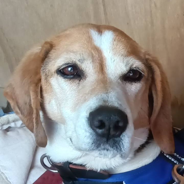 D6e12df6 619b 442e 82a4 12808b506e53 1745414603585