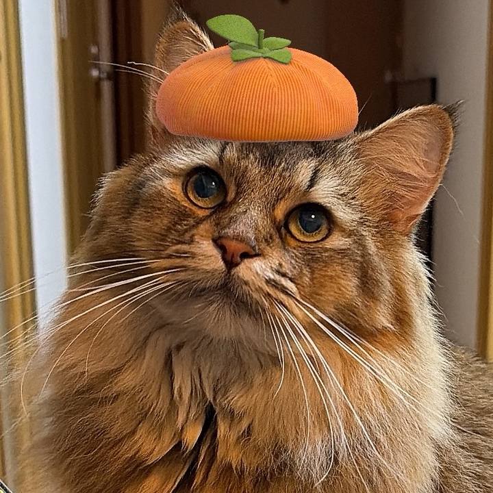 D6e1454d 3acd 4599 813c 2691e62c1866 1759548164252