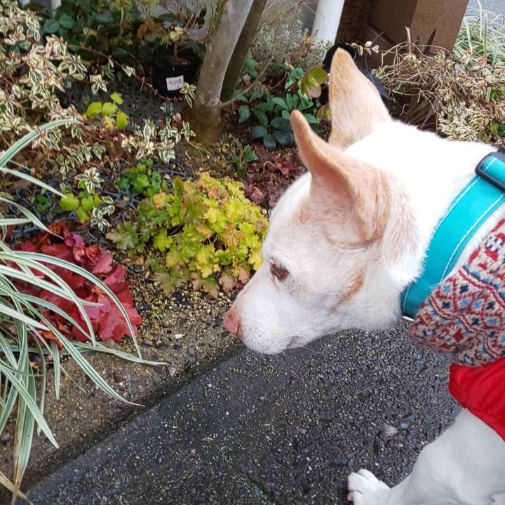 D6e15134 7e12 46d1 9875 dc4db94836b4 1550619125101