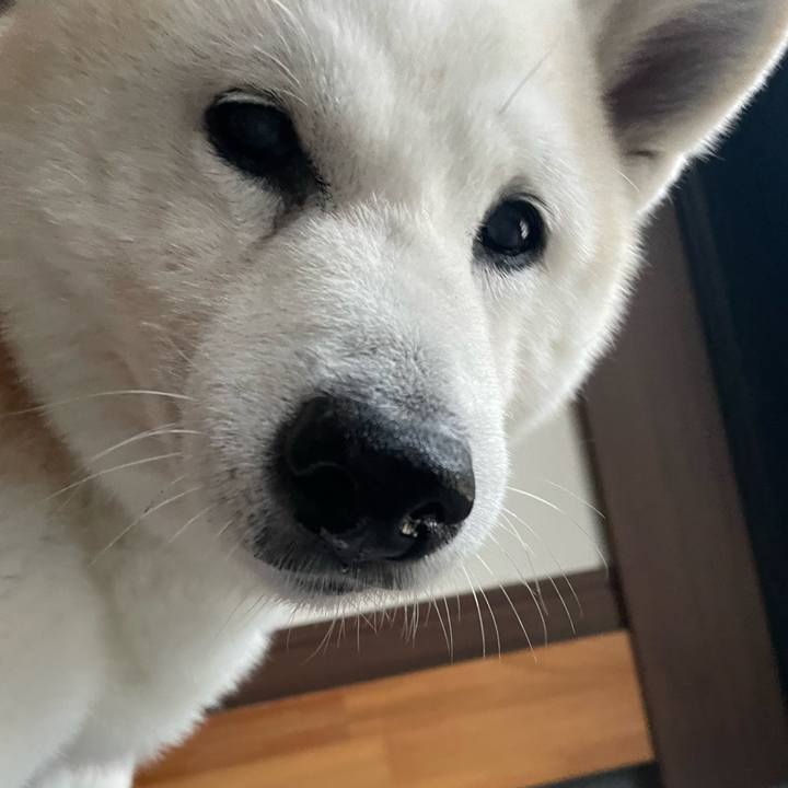 D6e18690 5b07 44f7 ad6d 4491834754c8 1694126559631