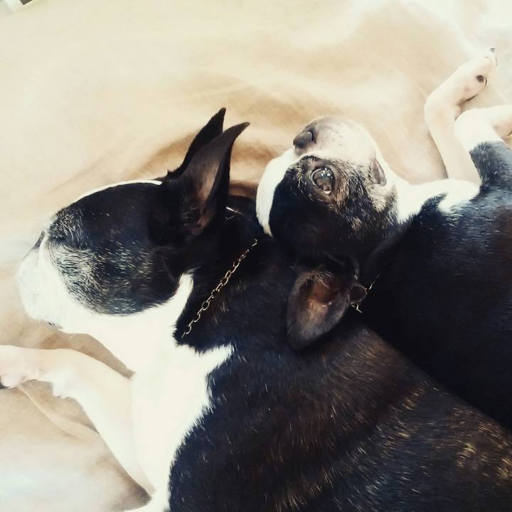 D6e1e2f9 831f 4026 8534 5ca843aa2dc8 1524751842823