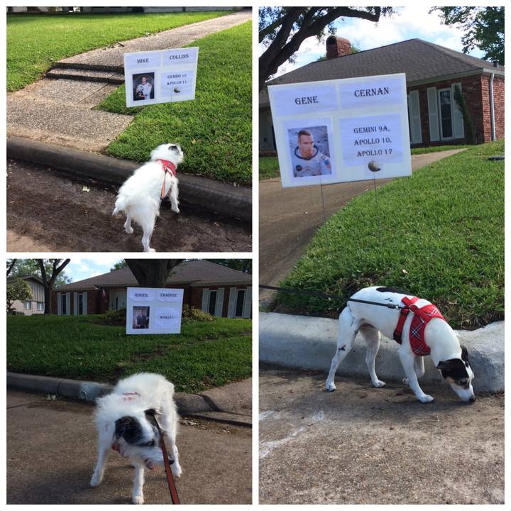 D6e1e58d 0da2 406d b533 61054cceafee 1522534998331