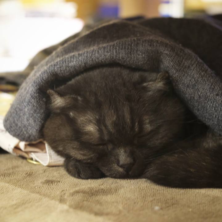 D6e223a9 9c02 4f89 8e85 17953616849f 1625841114706