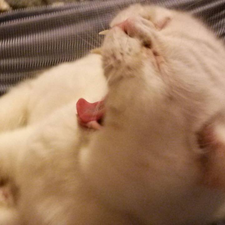 D6e23c71 ba2d 491f 8f29 f2f367e3a027 1522414104616