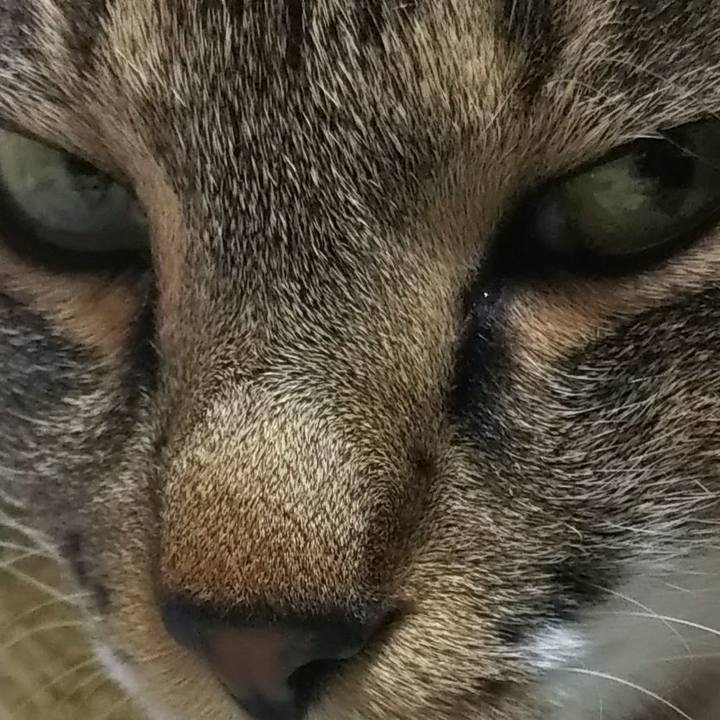 D6e2ea37 a69d 45e2 92c7 e0c9a9288a12 1605516635352