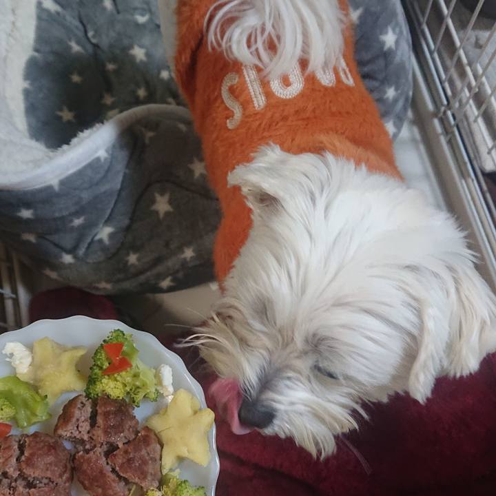 D6e2f1b7 0aaa 4b17 9e64 8a6d4140a369 1671892691986