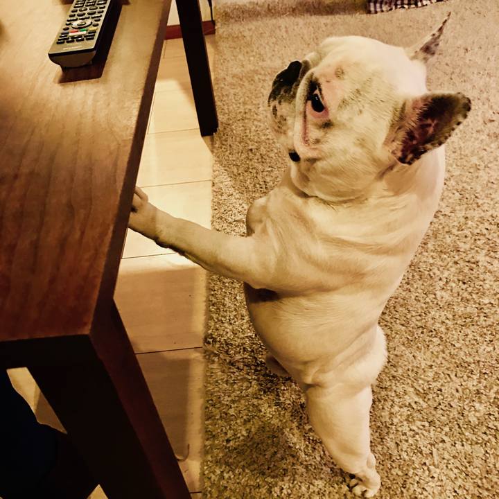 D6e34524 59a5 4733 838b f8390de727d8 1512298221057